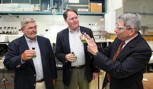 (from left) Ray Slatton and Robert Clark of SecureWaters Inc. examine samples of algae that form the basis of the AquaSentinel water monitoring technology, which was developed by ORNL's Elias Greenbaum (right) and licensed Monday to SecureWaters.