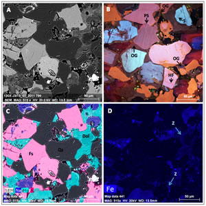 Scanning electron microscope image illustrating mineralogy and texture of unconventional gas reservoir. Note that nanoporosity is not resolvable with this image. SANS and USANS analysis is required to quantify pore size distribution and interconnectivity.
