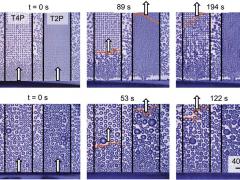Beetle-inspired discovery could reduce frost’s costly sting