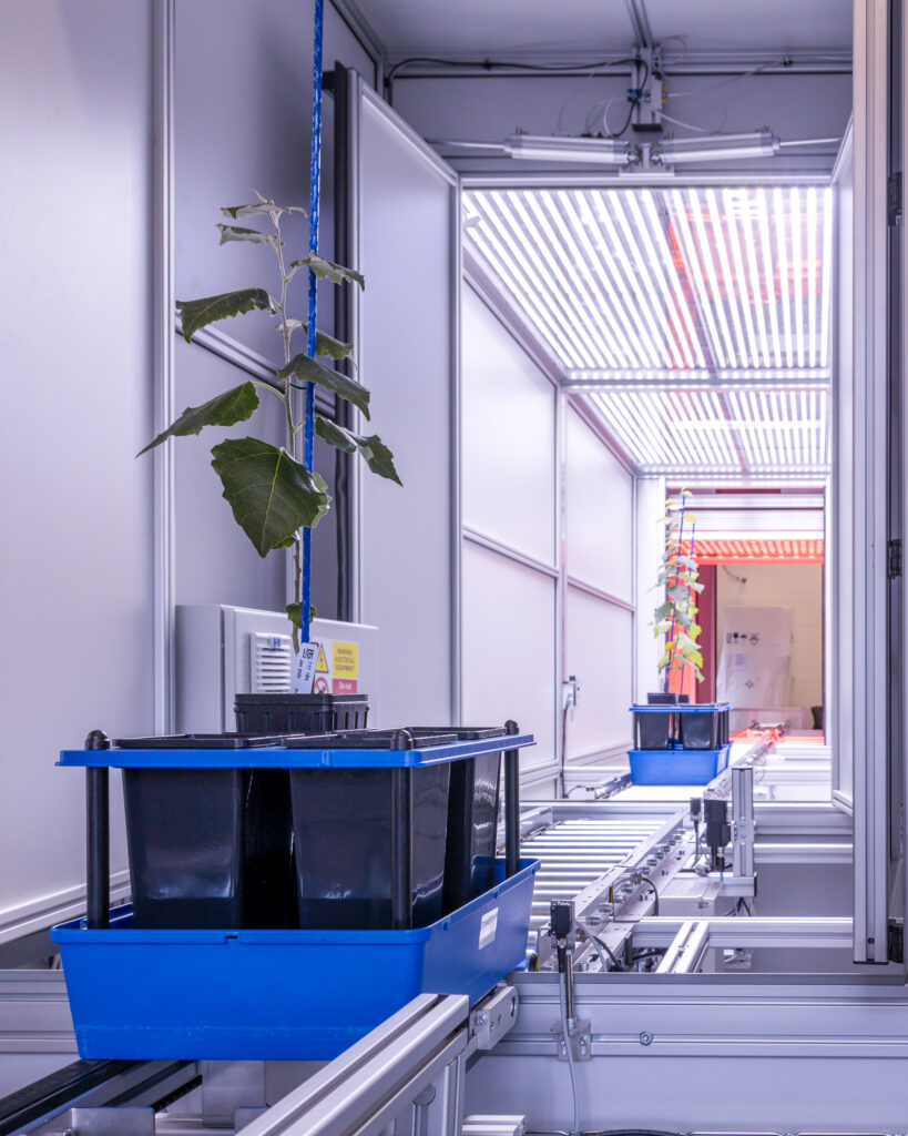 Potted plants moving along a conveyor into a controlled imaging chamber with LED lighting