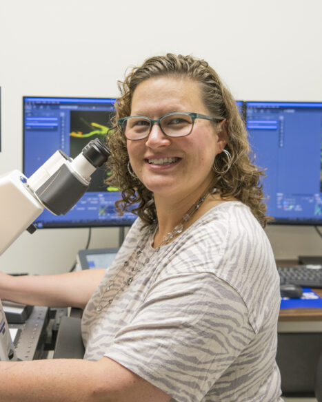 ORNL Placeholder Image
