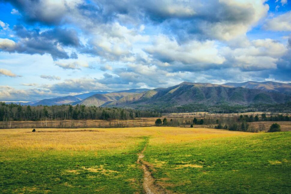 A scenic mountain landscape of Cades Cove in the Great Smoky Mountains National Park. d a line of trees and rolling mountains in the distance.