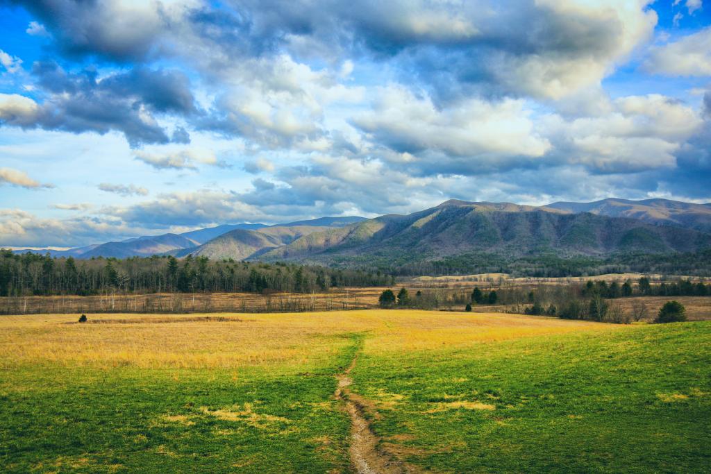 A scenic mountain landscape of Cades Cove in the Great Smoky Mountains National Park. d a line of trees and rolling mountains in the distance.