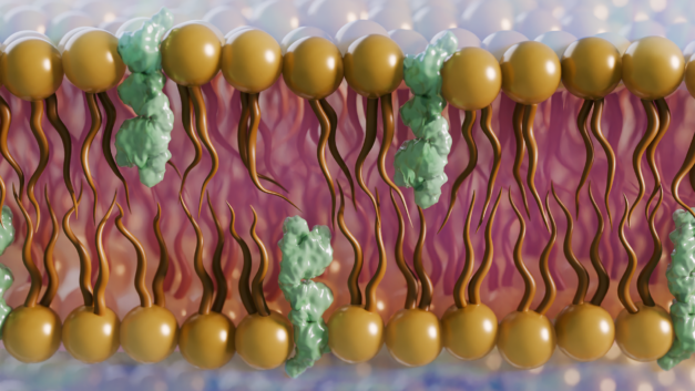 ORNL Placeholder Image
