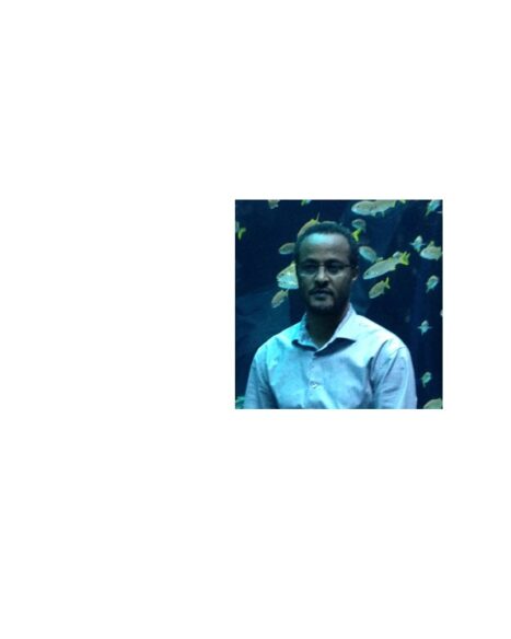 ORNL Placeholder Image