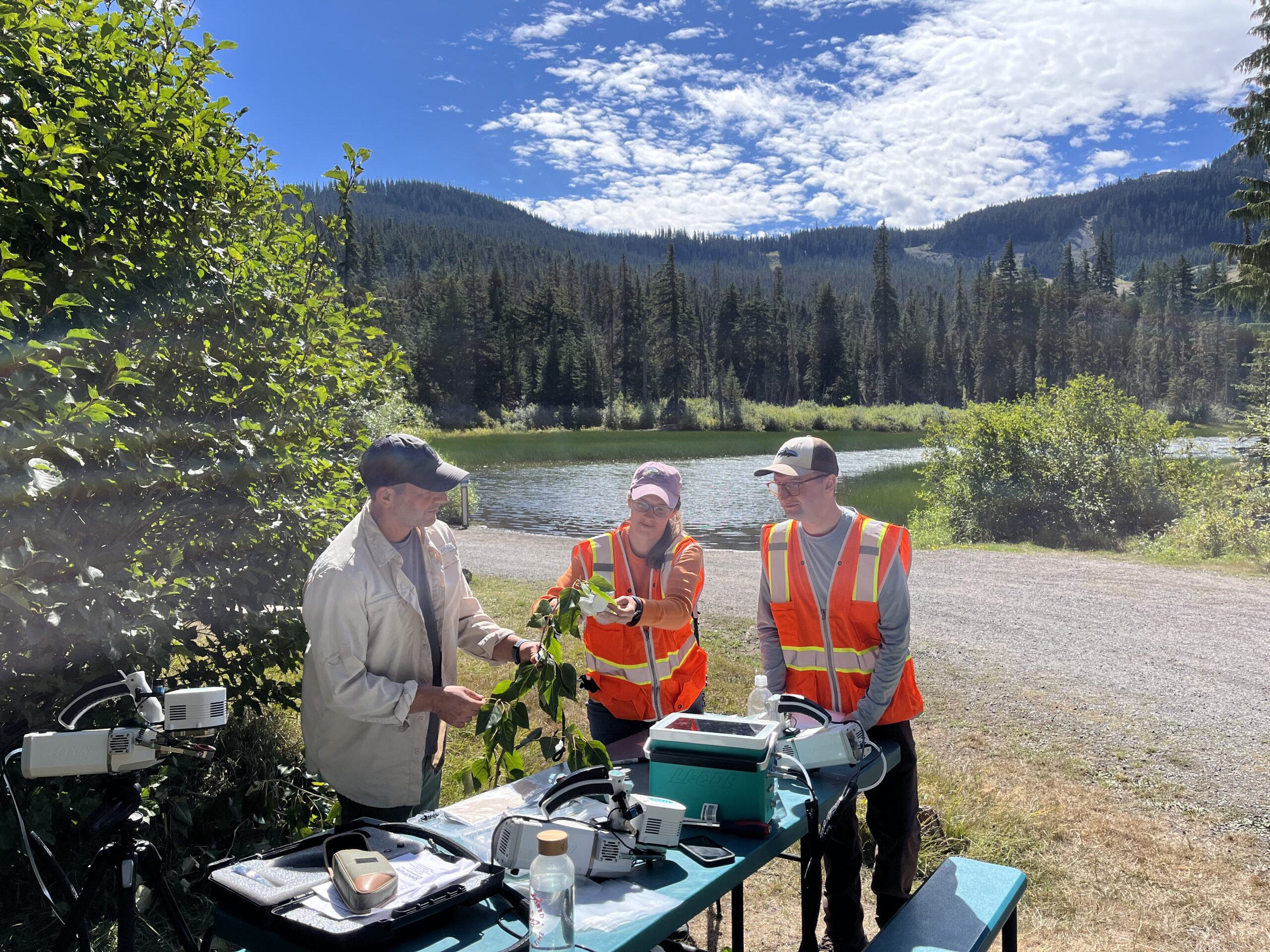 Three team members looking at plants stand in front of a mountain scene, two are in orange safety vests.