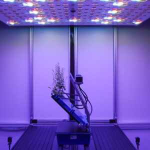 First-of-its-kind automated root imaging platform speeds plant discoveries featured image