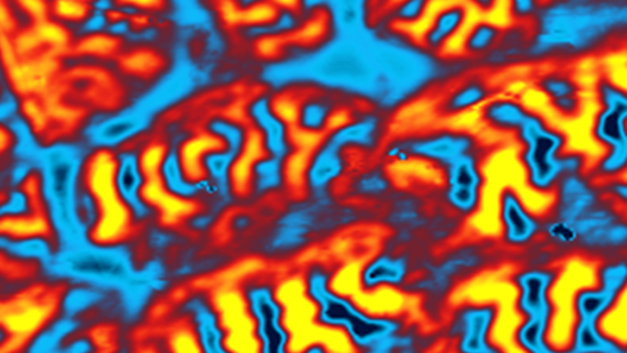 ORNL Placeholder Image