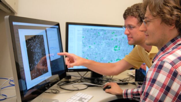 ORNL Placeholder Image