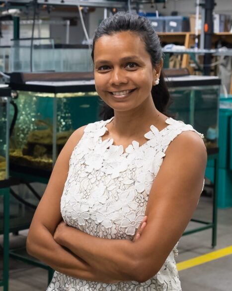 ORNL Placeholder Image