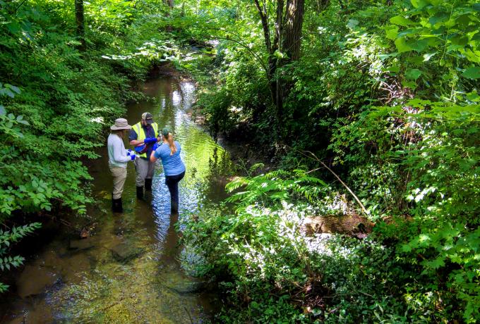 researchers collecting samples in a small waterway for the WaDE project