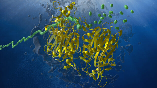 ORNL Placeholder Image
