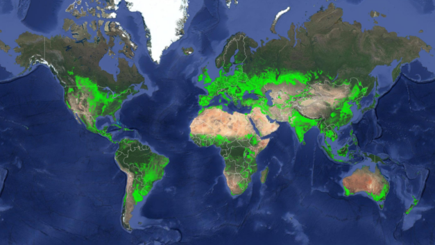 ORNL Placeholder Image