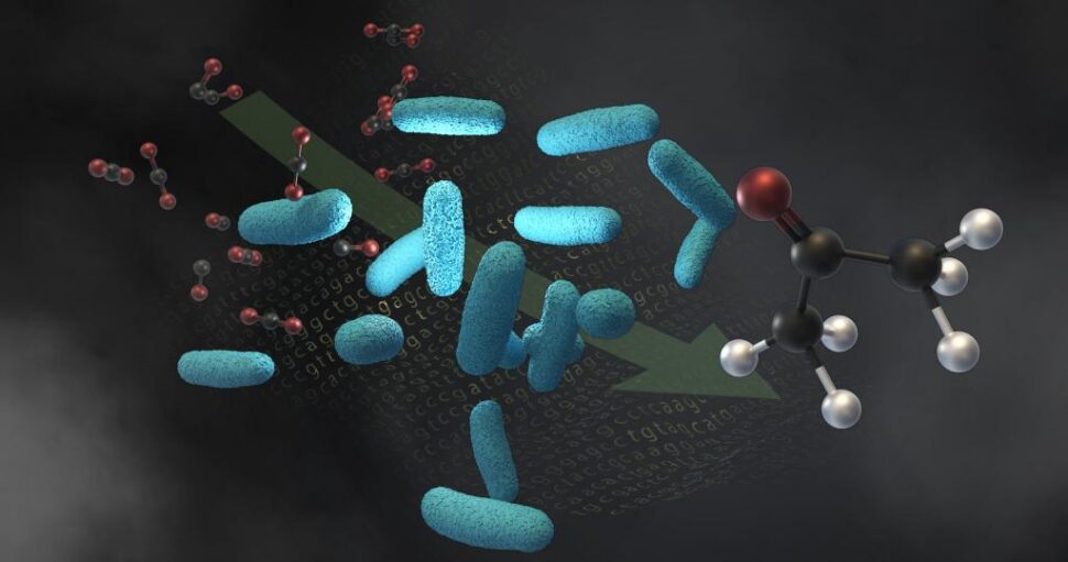 microbe factory graphic