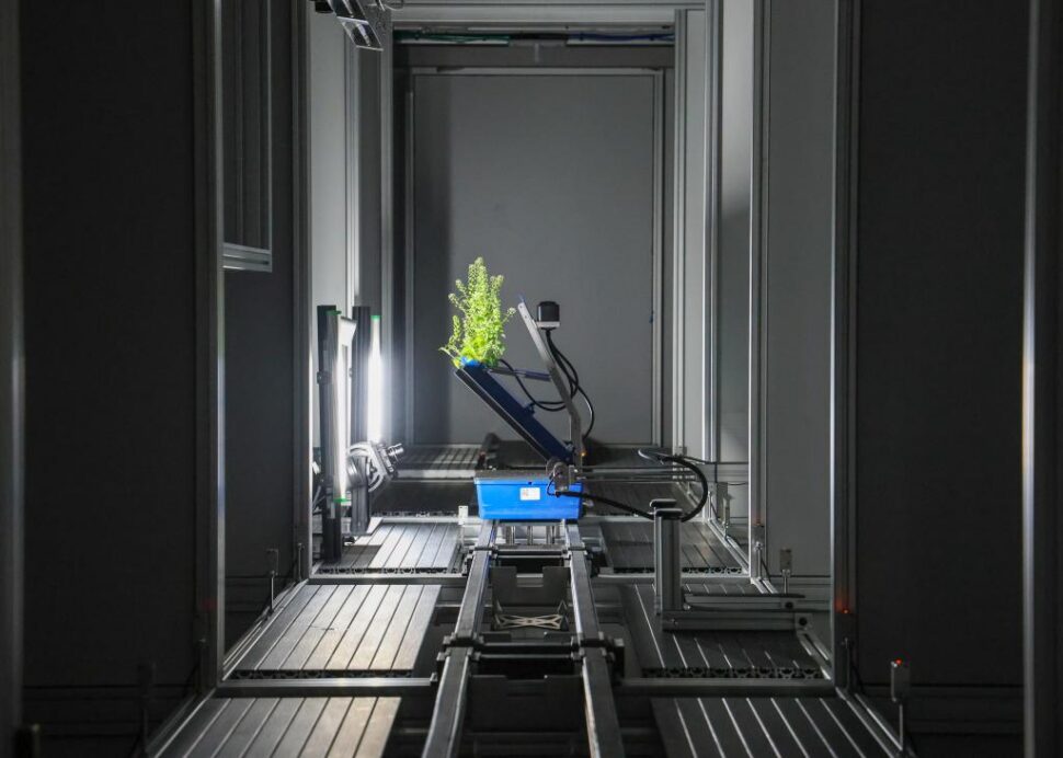 a plant in a rhizobox moving through a series of sensors on an automated track