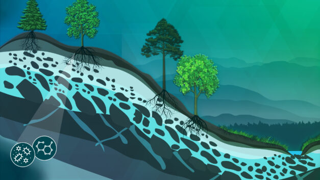 ORNL Placeholder Image