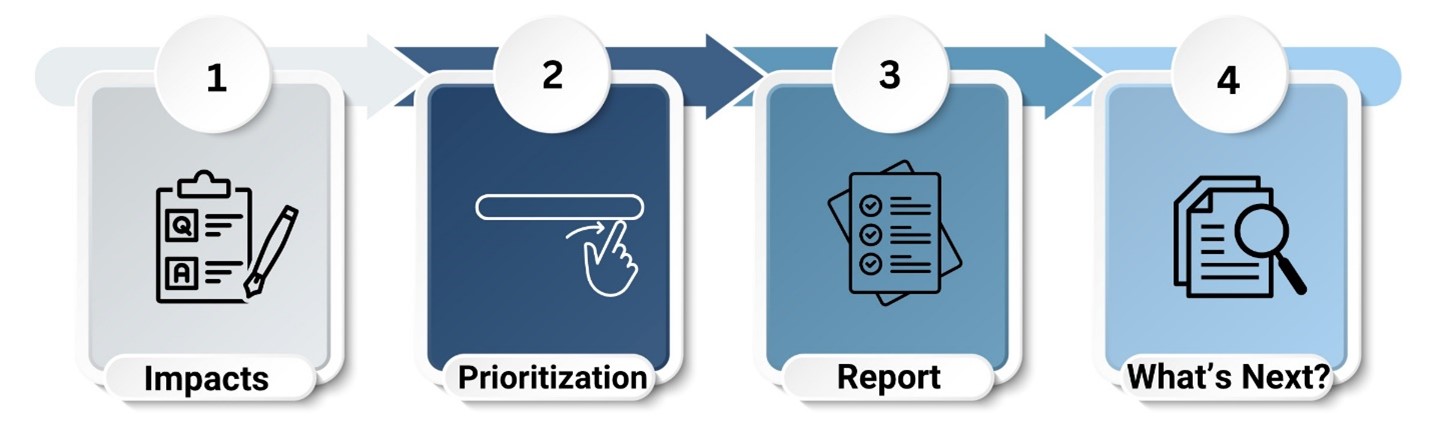 EDS project phases graphic