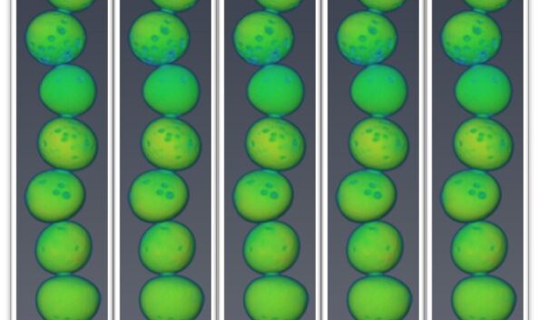 ORNL Placeholder Image