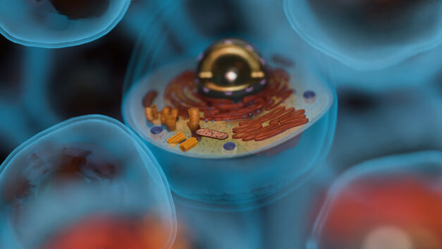 ORNL Placeholder Image