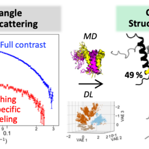 Structural characterization of an intrinsically disordered protein complex using integrated small-angle neutron scattering and computing featured image
