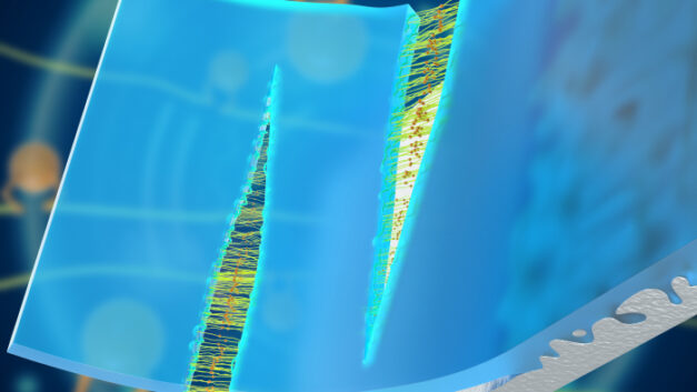 ORNL Placeholder Image