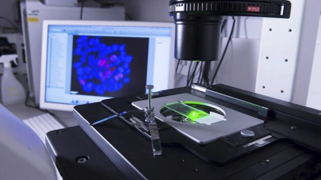 ORNL Placeholder Image