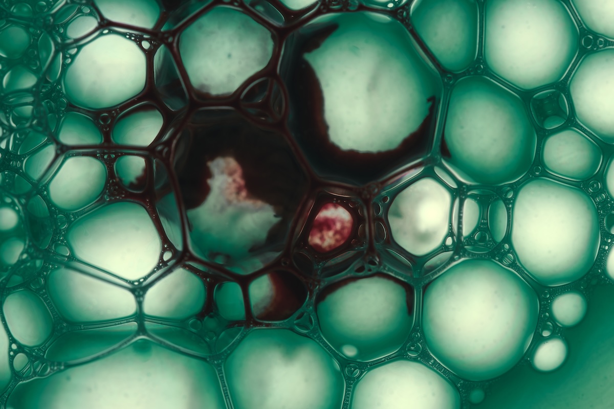 A macro shot of soap bubbles in green and brown colors. Image from Envato