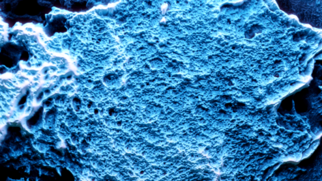 ORNL Placeholder Image
