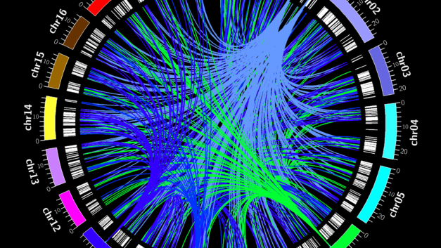 ORNL Placeholder Image