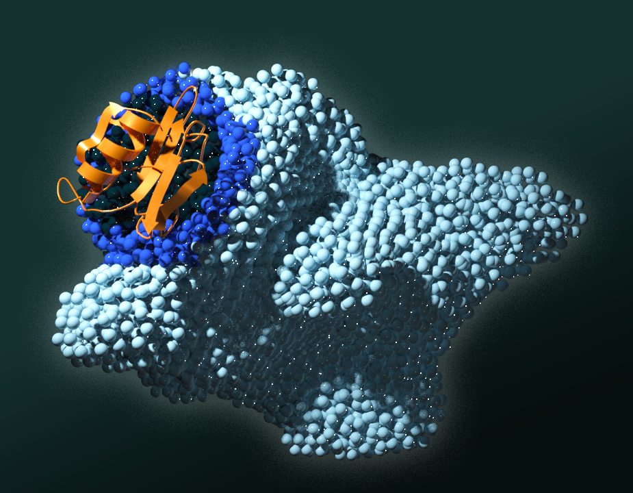ORNL scientists identified four amino acids key to signaling pathways in the PAN protein domain. Mutating any of those disrupted the signal that tells cancer cells to multiply. Credit: Andy Sproles/ORNL, U.S. Dept. of Energy