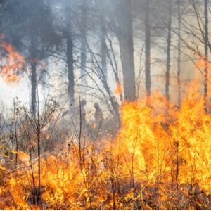 Modeling climate extremes featured image