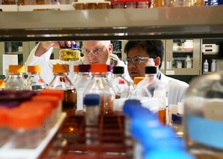 Gene discovery potential key to cost-competitive cellulosic ethanol