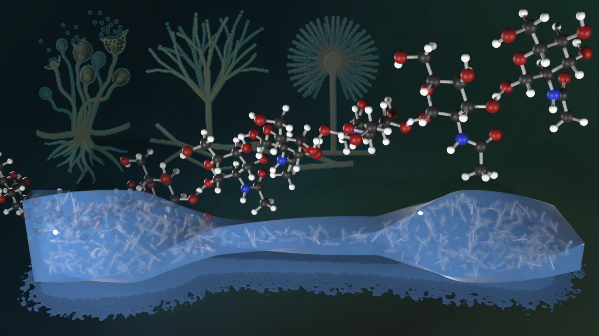 Molecular structures above a blue, crystalline surface with stylized fungal forms in the background.