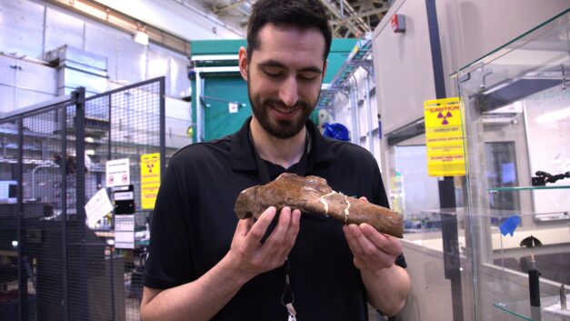 ORNL neutron bone imaging brings T. rex to life