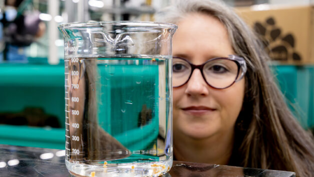 Kristine Moody holds and examines a large laboratory beaker filled with water and polymer samples during materials testing in a laboratory at Oak Ridge National Laboratory.