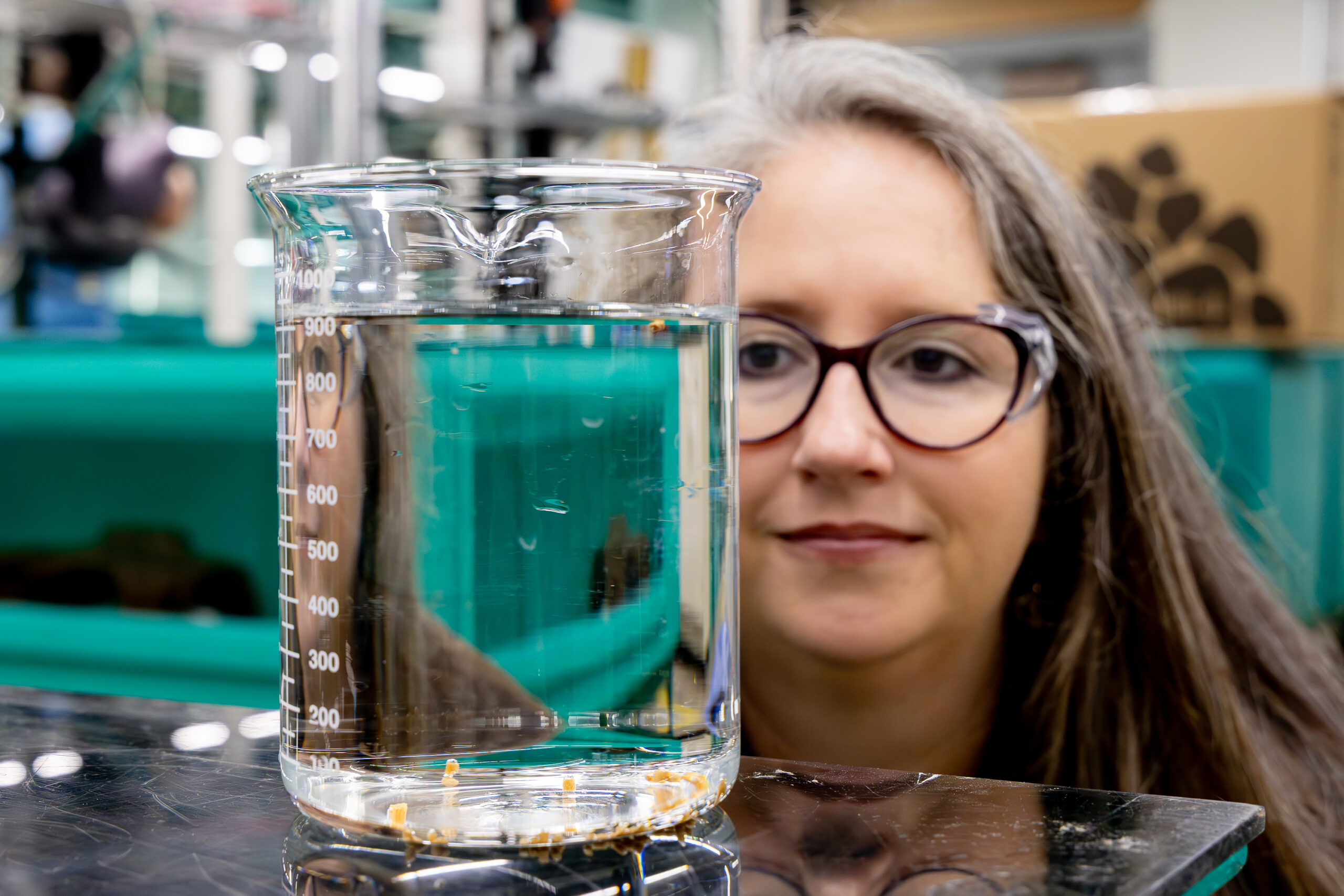 A researcher examines pellets in a beaker of water.