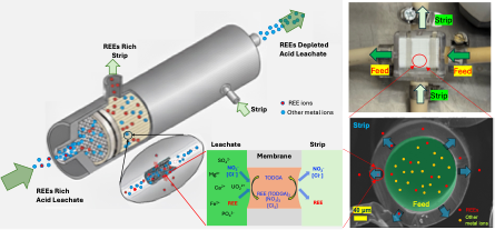 Illustration of a membrane-based process for extracting rare earth elements from acid leachate.